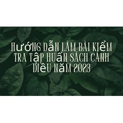Hướng dẫn làm bài kiểm tra tập huấn sách Cánh Diều mới nhất