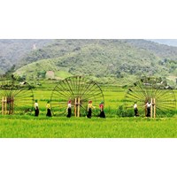 Thuyết minh về một Danh lam Thắng cảnh ở Sơn La chọn lọc hay nhất