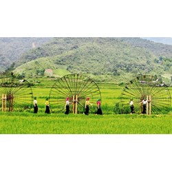 Thuyết minh về một Danh lam Thắng cảnh ở Sơn La chọn lọc hay nhất