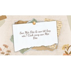 Sao Mộc Đức là sao tốt hay xấu? Cách cúng sao Mộc Đức