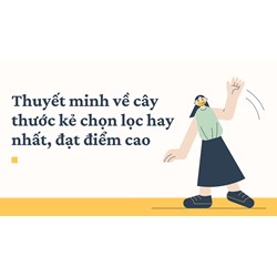 Thuyết minh về cây thước kẻ chọn lọc hay nhất, đạt điểm cao