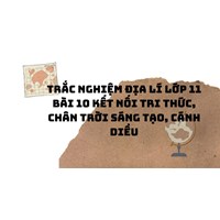 Trắc nghiệm Địa lý lớp 11 Bài 10 Kết nối tri thức, Chân trời sáng tạo, Cánh diều