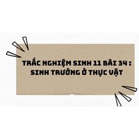Trắc nghiệm Sinh học lớp 11 Bài 34: Sinh trưởng ở thực vật