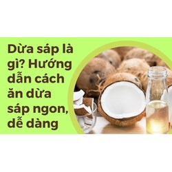 Dừa sáp là gì? Hướng dẫn cách ăn dừa sáp ngon, dễ dàng