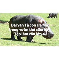 Bài văn Tả con Hà Mã trong vườn thú siêu hay Tập làm văn lớp 4