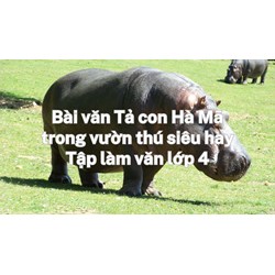 Bài văn Tả con Hà Mã trong vườn thú siêu hay Tập làm văn lớp 4
