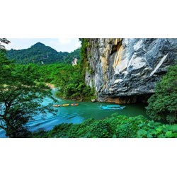 Thuyết minh về động Phong Nha - Kẻ Bàng chọn lọc hay nhất