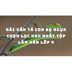Bài văn tả con bọ ngựa chọn lọc hay nhất Tập làm văn lớp 4
