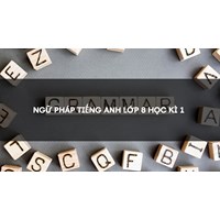 Ngữ pháp tiếng Anh lớp 8 học kì 1 chọn lọc chi tiết