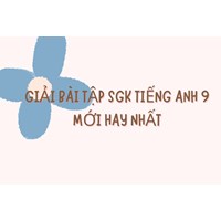 Giải bài tập SGK Tiếng Anh lớp 9 mới hay nhất