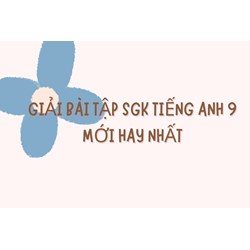 Giải bài tập SGK Tiếng Anh lớp 9 mới hay nhất