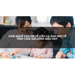 Cảm nghĩ của em về câu ca dao nói về tình cảm gia đình siêu hay