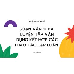 Soạn văn 11 bài Luyện tập vận dụng kết hợp các thao tác lập luận