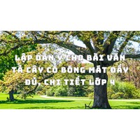 Lập dàn ý cho bài văn Tả cây có bóng mát đầy đủ, chi tiết lớp 4