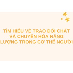 Tìm hiểu về trao đổi chất và chuyển hóa năng lượng trong cơ thể người