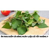 Ăn rau diếp cá hàng ngày liệu có tốt không ?