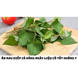 Ăn rau diếp cá hàng ngày liệu có tốt không ?
