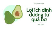 Lợi ích dinh dưỡng từ quả bơ