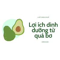Lợi ích dinh dưỡng từ quả bơ