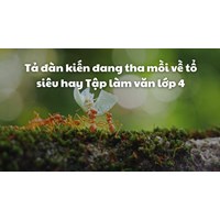 Tả đàn kiến đang tha mồi về tổ siêu hay Tập làm văn lớp 4