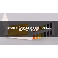 Những chất nào, dung dịch nào làm quỳ tím hóa đỏ?