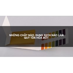 Những chất nào, dung dịch nào làm quỳ tím hóa đỏ?
