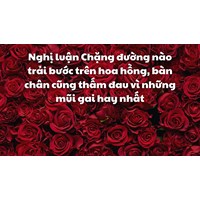 Nghị luận Chặng đường nào trải bước trên hoa hồng ... hay nhất