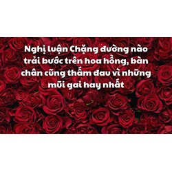 Nghị luận Chặng đường nào trải bước trên hoa hồng ... hay nhất