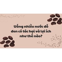 Uống nhiều nước đỗ đen có tác hại và lợi ích như thế nào?