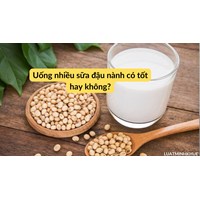 Uống nhiều sữa đậu nành có tốt hay không?