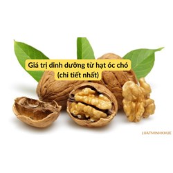 Giá trị dinh dưỡng từ hạt óc chó (chi tiết nhất)