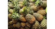 Có nên ăn dứa khi đang mang thai?
