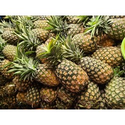 Có nên ăn dứa khi đang mang thai?