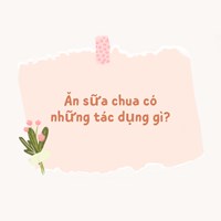 Ăn sữa chua có những tác dụng gì?