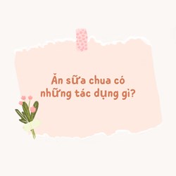 Ăn sữa chua có những tác dụng gì?