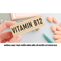 Những loại thực phẩm hàng đầu có nhiều vitamin B12