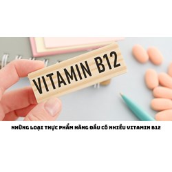 Những loại thực phẩm hàng đầu có nhiều vitamin B12