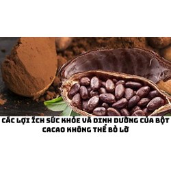 Các lợi ích sức khỏe và dinh dưỡng của bột cacao không thể bỏ lỡ