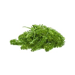 Tác dụng ăn rong nho