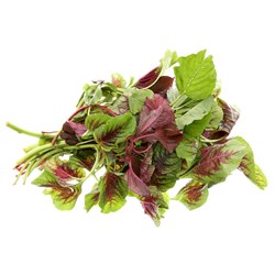 Tác dụng ăn rau dền