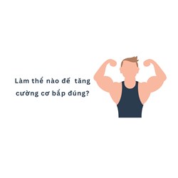Làm thế nào để  tăng cường cơ bắp đúng?