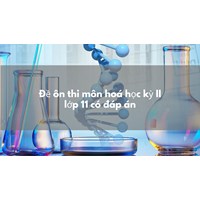 Đề ôn thi môn hoá học kỳ II lớp 11 có đáp án