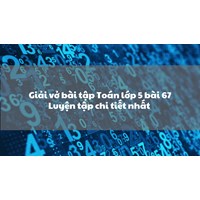 Giải vở bài tập Toán lớp 5 bài 67 Luyện tập chi tiết nhất