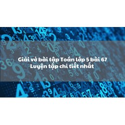 Giải vở bài tập Toán lớp 5 bài 67 Luyện tập chi tiết nhất