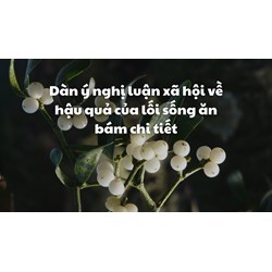 Dàn ý nghị luận xã hội về hậu quả của lối sống ăn bám chi tiết