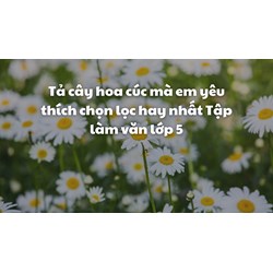 Tả cây hoa cúc mà em yêu thích chọn lọc hay nhất Tập làm văn lớp 5