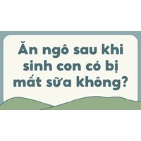 Ăn ngô sau khi sinh con có bị mất sữa không?