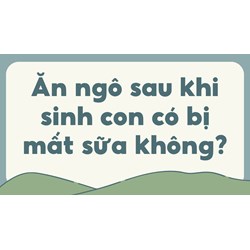 Ăn ngô sau khi sinh con có bị mất sữa không?