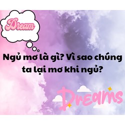 Ngủ mơ là gì? Vì sao chúng ta lại mơ khi ngủ?