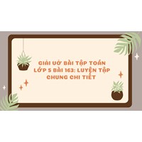 Giải Vở bài tập Toán lớp 5 bài 163: Luyện tập chung chi tiết